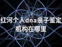 红河个人dna亲子鉴定机构在哪里