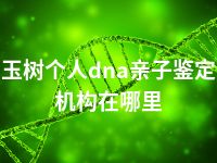 玉树个人dna亲子鉴定机构在哪里