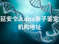 延安个人dna亲子鉴定机构地址