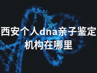 西安个人dna亲子鉴定机构在哪里