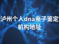 泸州个人dna亲子鉴定机构地址