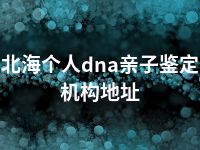 北海个人dna亲子鉴定机构地址