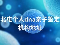 北屯个人dna亲子鉴定机构地址