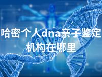 哈密个人dna亲子鉴定机构在哪里