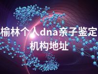 榆林个人dna亲子鉴定机构地址