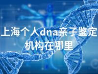 上海个人dna亲子鉴定机构在哪里