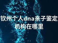 钦州个人dna亲子鉴定机构在哪里