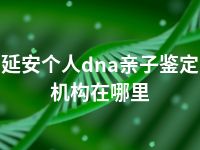 延安个人dna亲子鉴定机构在哪里