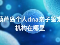 葫芦岛个人dna亲子鉴定机构在哪里