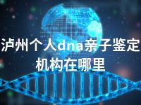 泸州个人dna亲子鉴定机构在哪里