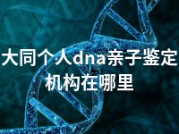 大同个人dna亲子鉴定机构在哪里