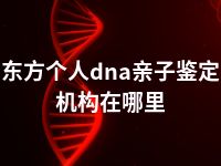 东方个人dna亲子鉴定机构在哪里