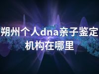 朔州个人dna亲子鉴定机构在哪里