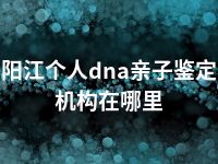 阳江个人dna亲子鉴定机构在哪里