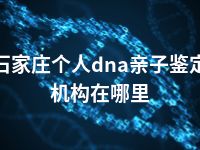 石家庄个人dna亲子鉴定机构在哪里