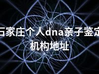 石家庄个人dna亲子鉴定机构地址