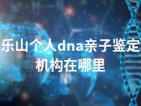 乐山个人dna亲子鉴定机构在哪里