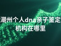 潮州个人dna亲子鉴定机构在哪里