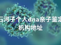 石河子个人dna亲子鉴定机构地址