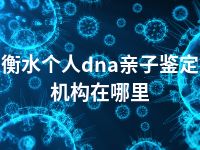 衡水个人dna亲子鉴定机构在哪里