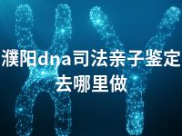 濮阳dna司法亲子鉴定去哪里做