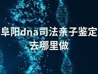 阜阳dna司法亲子鉴定去哪里做