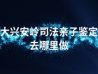 大兴安岭司法亲子鉴定去哪里做