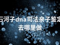 石河子dna司法亲子鉴定去哪里做