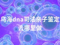 乌海dna司法亲子鉴定去哪里做