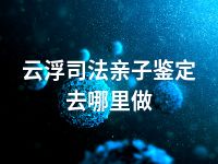 云浮司法亲子鉴定去哪里做