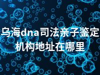 乌海dna司法亲子鉴定机构地址在哪里