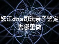 怒江dna司法亲子鉴定去哪里做