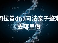 阿拉善dna司法亲子鉴定去哪里做