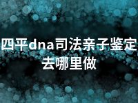 四平dna司法亲子鉴定去哪里做