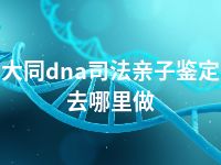 大同dna司法亲子鉴定去哪里做