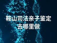 鞍山司法亲子鉴定去哪里做