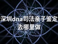 深圳dna司法亲子鉴定去哪里做