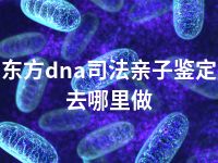 东方dna司法亲子鉴定去哪里做