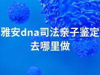 雅安dna司法亲子鉴定去哪里做