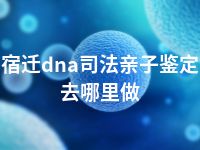 宿迁dna司法亲子鉴定去哪里做