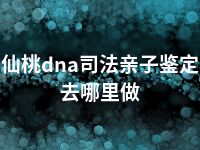 仙桃dna司法亲子鉴定去哪里做