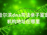 哈尔滨dna司法亲子鉴定机构地址在哪里