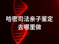 哈密司法亲子鉴定去哪里做