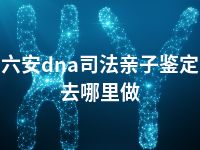 六安dna司法亲子鉴定去哪里做