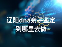 辽阳dna亲子鉴定到哪里去做