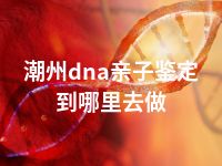 潮州dna亲子鉴定到哪里去做