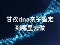 甘孜dna亲子鉴定到哪里去做