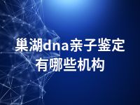 巢湖dna亲子鉴定有哪些机构