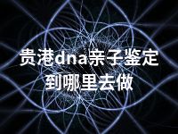 贵港dna亲子鉴定到哪里去做