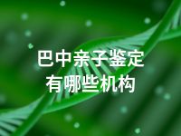 巴中亲子鉴定有哪些机构